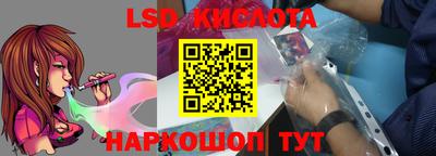 индика Дубна
