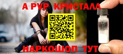 индика Дубна