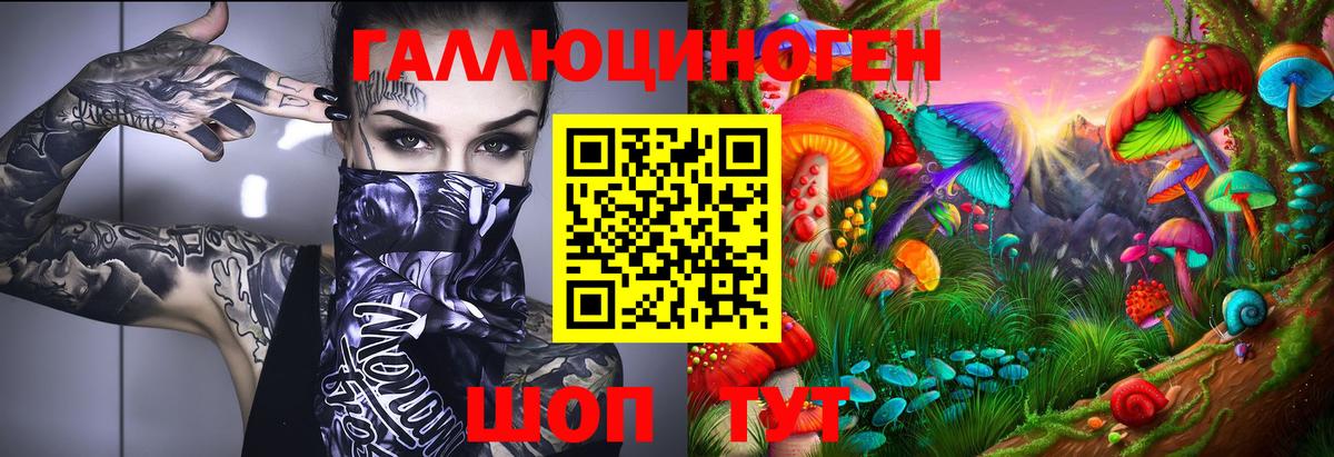 Галлюциногенные грибы MAGIC MUSHROOMS  Псилоцибиновые грибы прущие грибы  Луга  Вход с VPN 