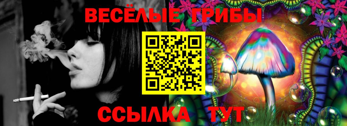 Псилоцибиновые грибы GOLDEN TEACHER Луга